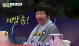 洪真英爆料姐姐视频,姐姐视频背后的惊人真相