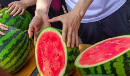 王大炮免费吃瓜,揭秘娱乐圈幕后真相